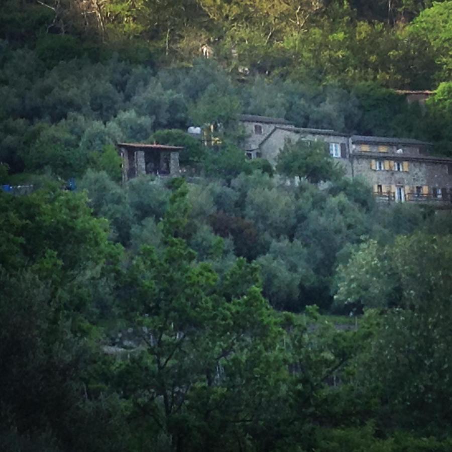 Farmhouse B&B Castagnola 64 Не Экстерьер фото