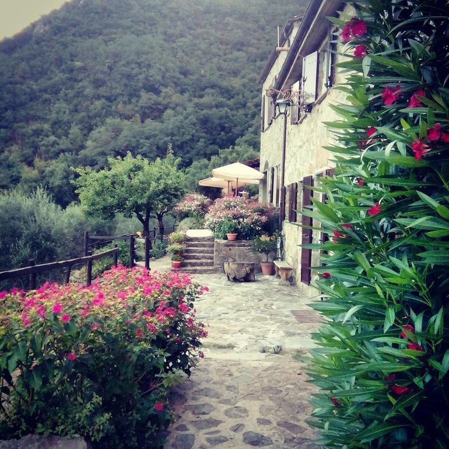 Farmhouse B&B Castagnola 64 Не Экстерьер фото
